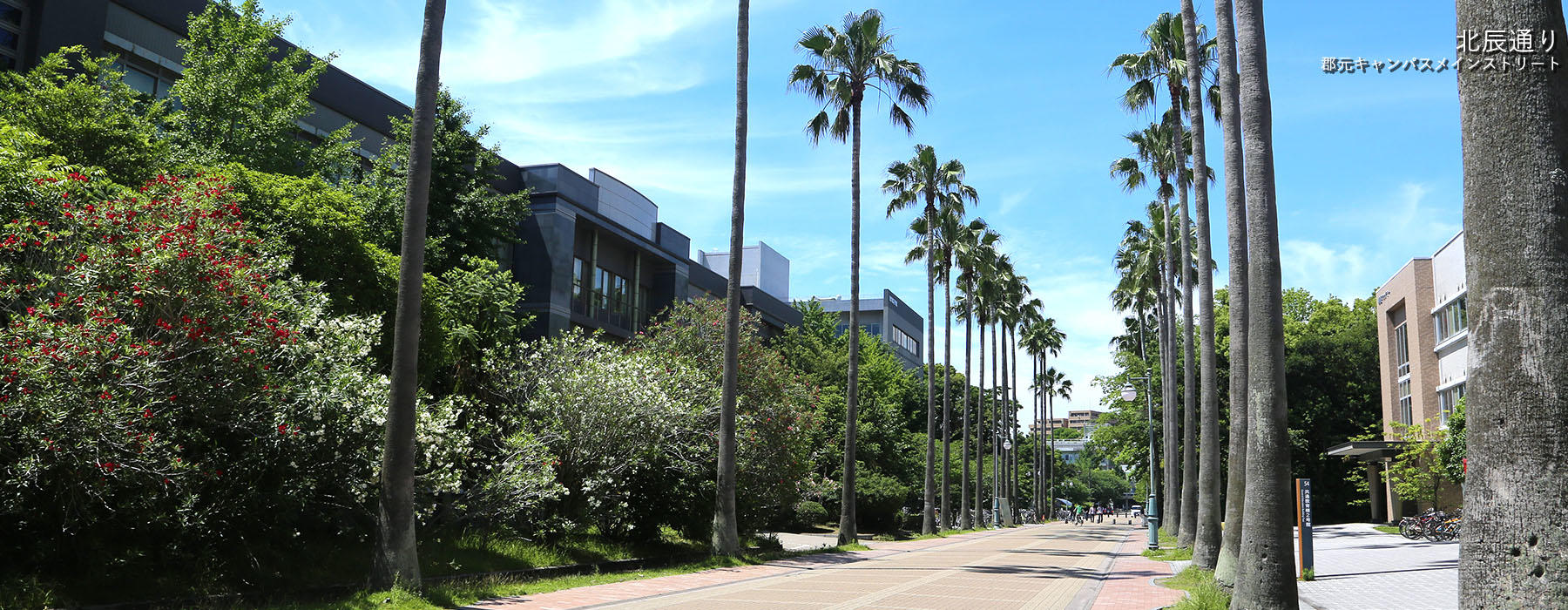 鹿児島大学