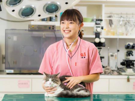 学校検索 高校生のための学校動画検索サイト Stube